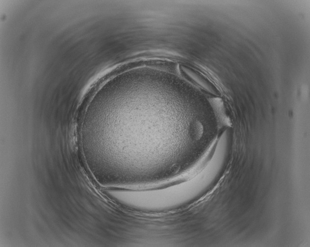 X0000083581164200702231648