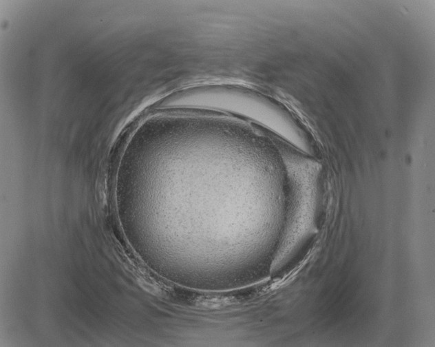 X0000083581165200702231648