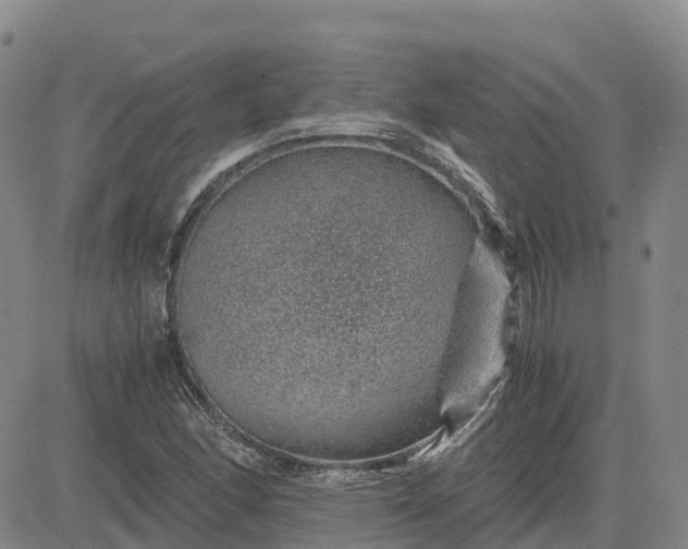 X0000083581166200702231648