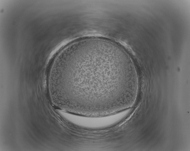 X0000083581167200702231648