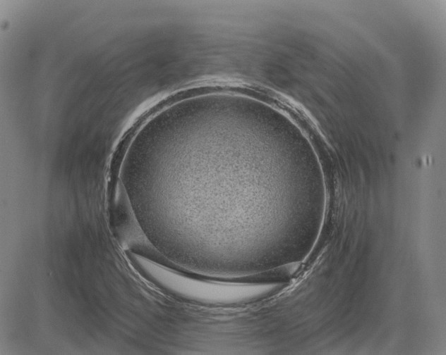 X0000083581168200702231648