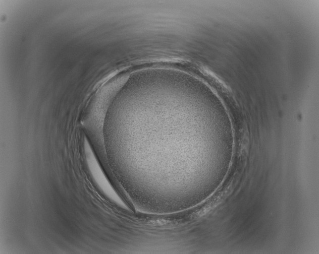 X0000083581169200702231648