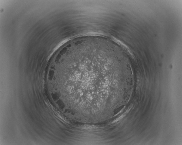 X0000083581170200702231648