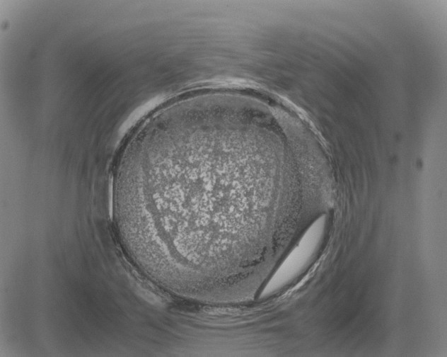 X0000083581171200702231648