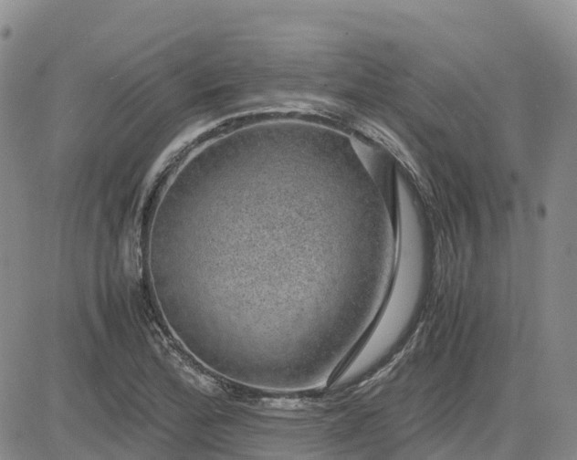 X0000083581172200702231648