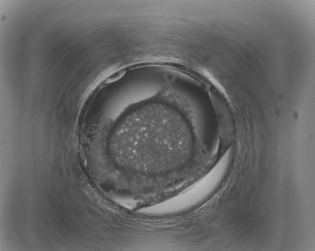 X0000083581173200702231647