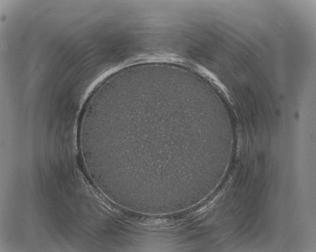 X0000083581174200702231647