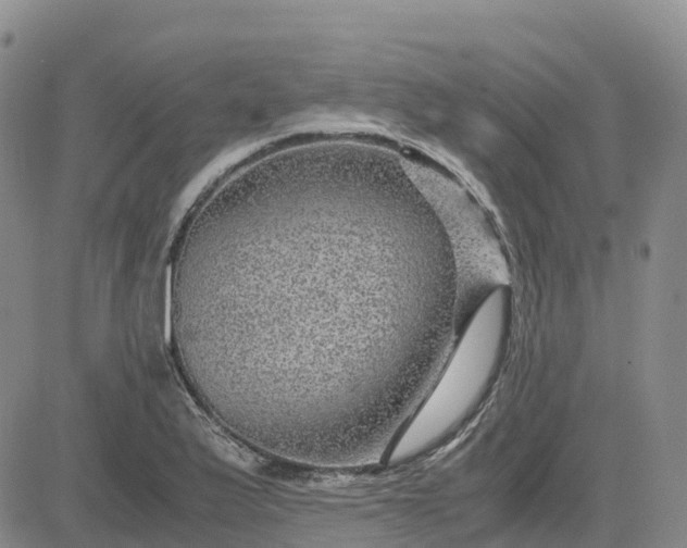 X0000083581175200702231647