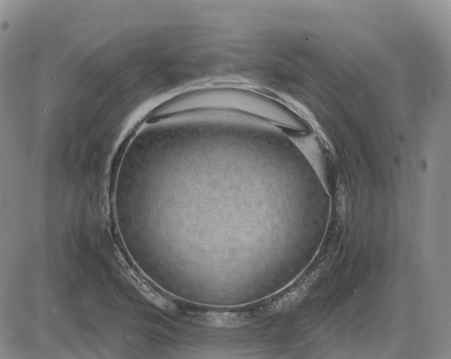 X0000083581176200702231647