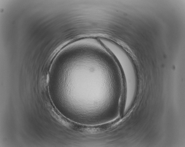 X0000083581177200702231647