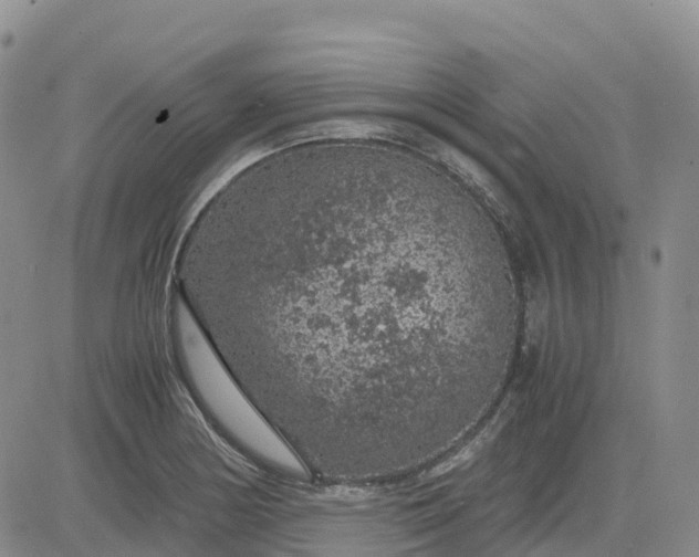 X0000083581178200702231647