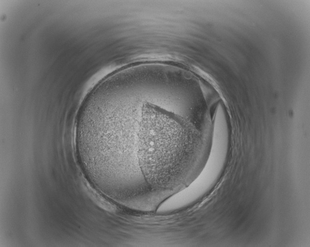 X0000083581179200702231647