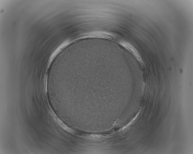 X0000083581180200702231647