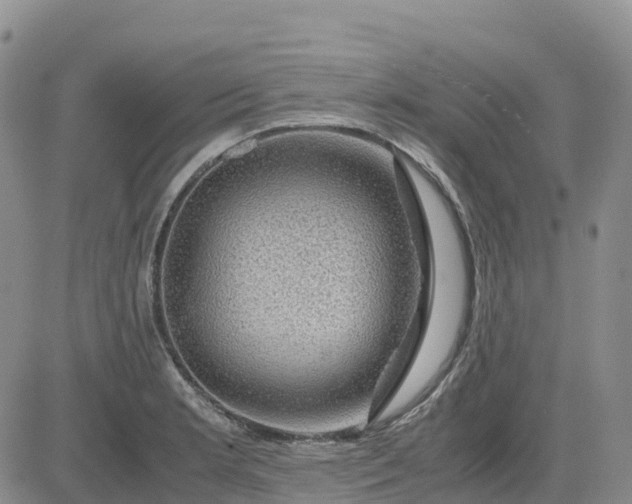 X0000083581181200702231647