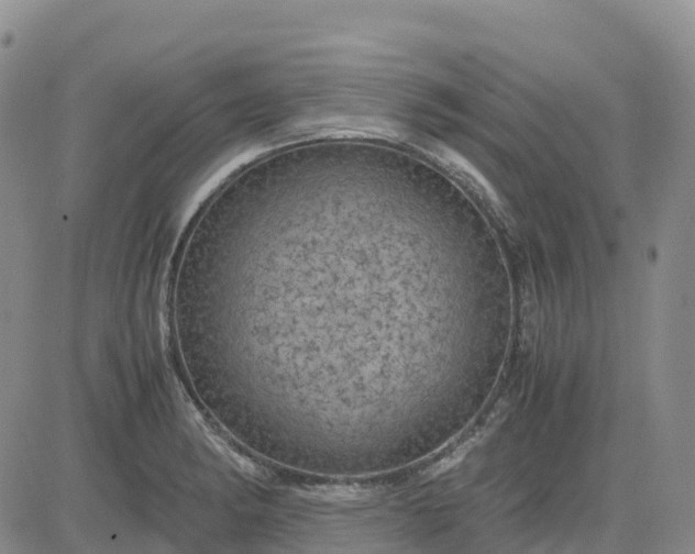 X0000083581182200702231647