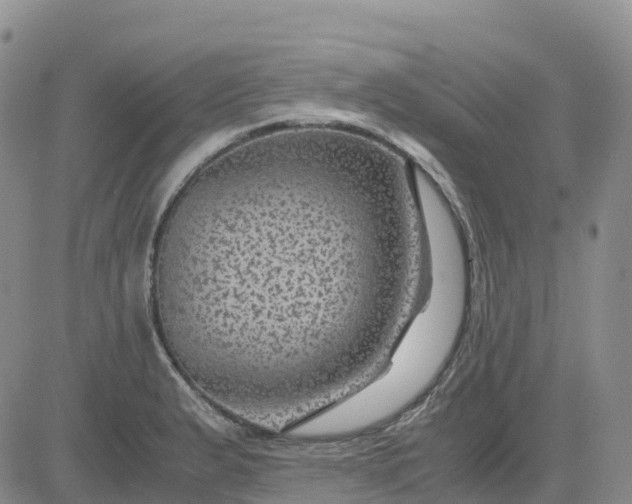 X0000083581183200702231647