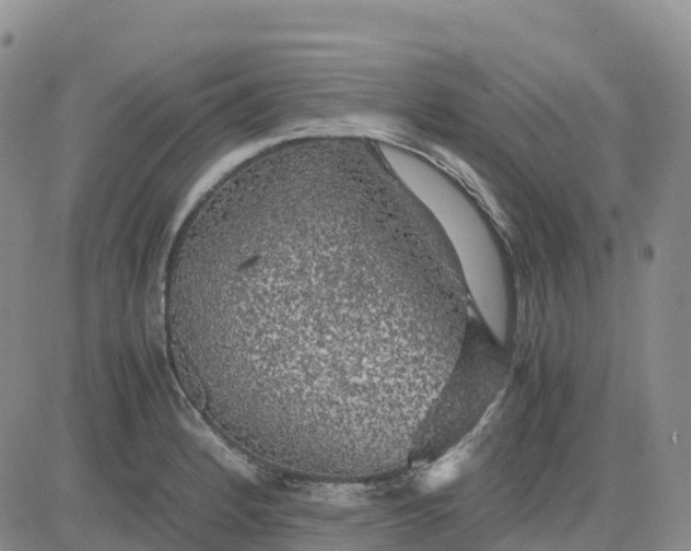 X0000083581184200702231647