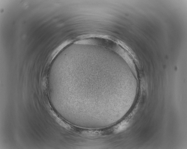 X0000083581185200702231647