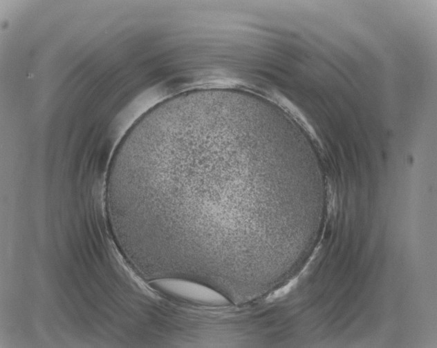 X0000083581186200702231647