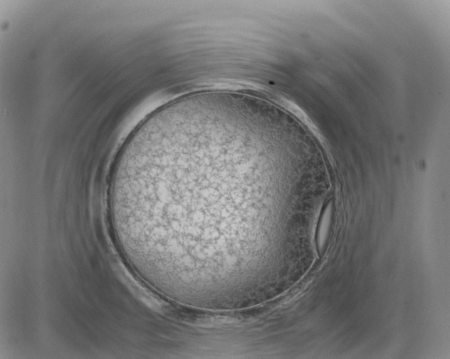 X0000083581187200702231647