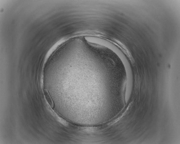 X0000083581188200702231647