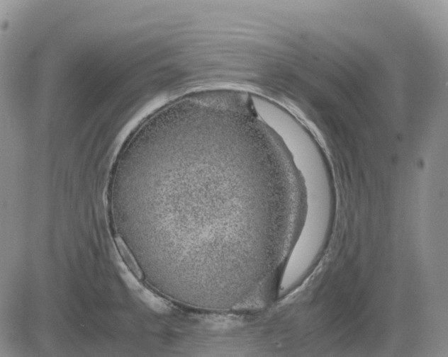 X0000083581189200702231647