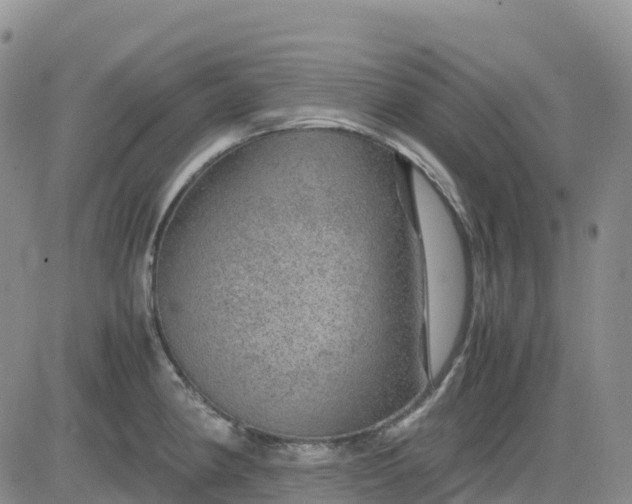 X0000083581190200702231647