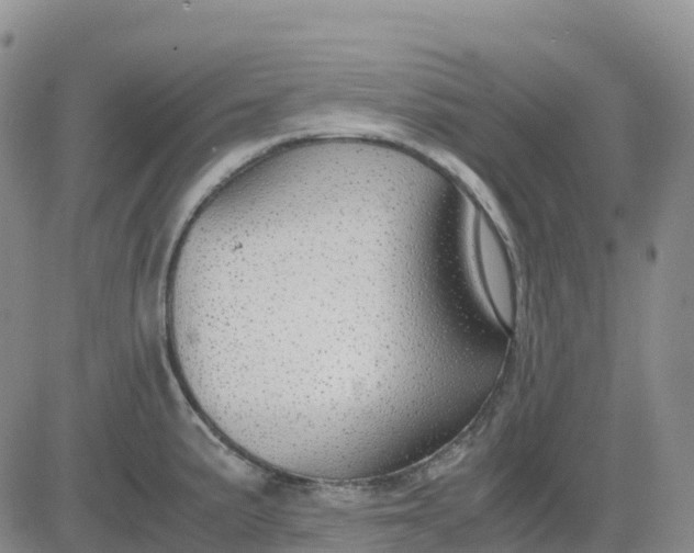 X0000083581191200702231647