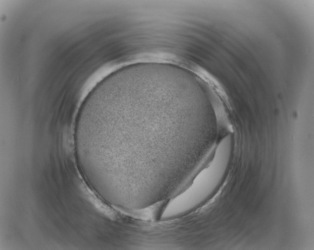 X0000083581192200702231647