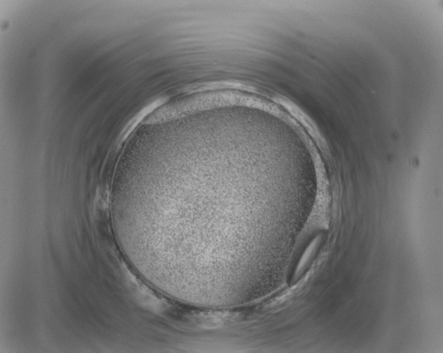 X0000083581193200702231647