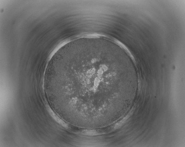 X0000083581194200702231647