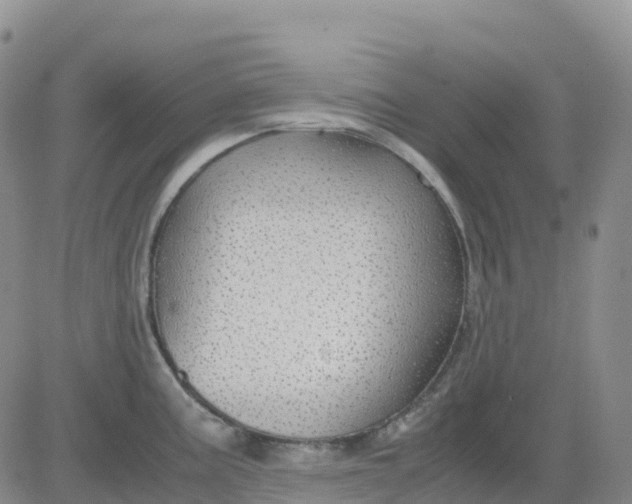 X0000083581195200702231647