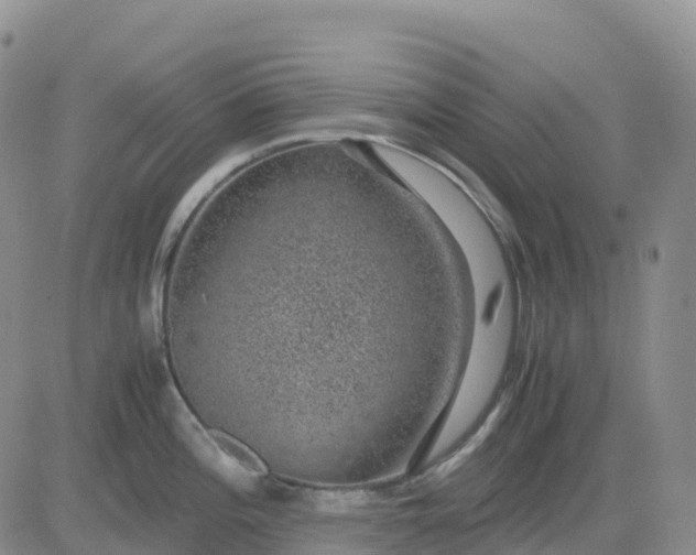 X0000083581196200702231647