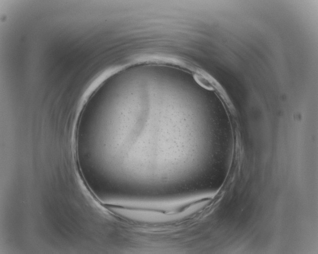 X0000083581199200702231647