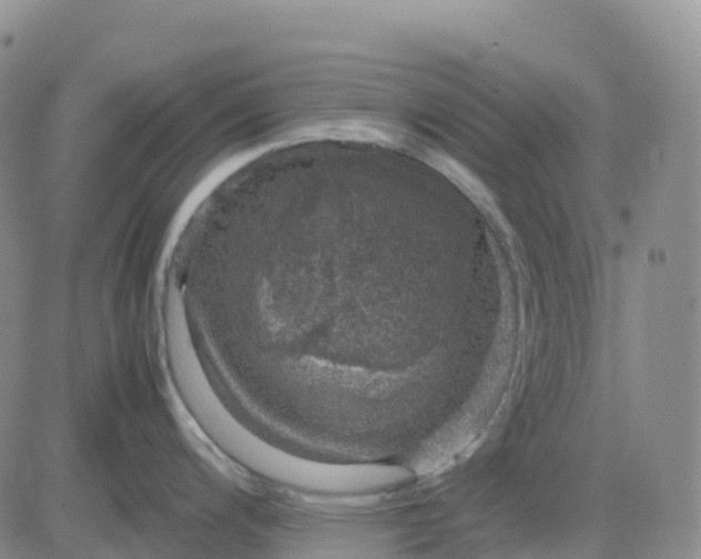 X0000083581200200702231647