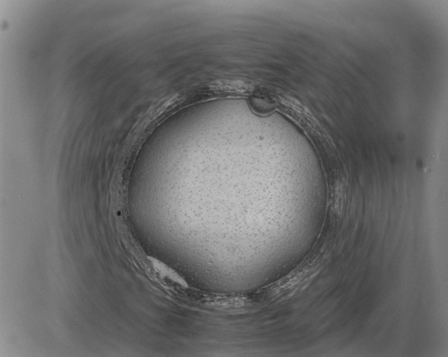 X0000083581201200702231646