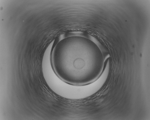 X0000083581202200702231646