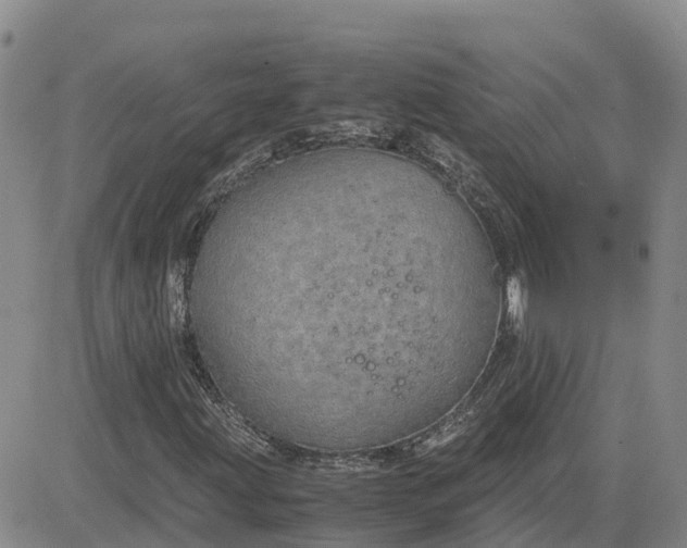 X0000083581203200702231646