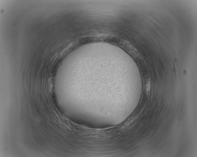 X0000083581204200702231646