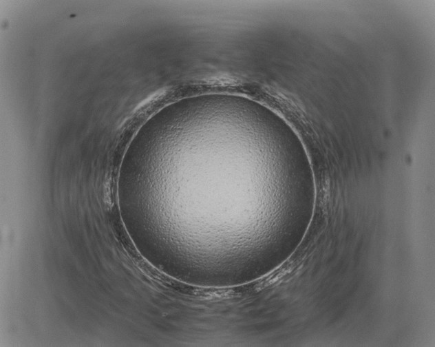 X0000083581205200702231646