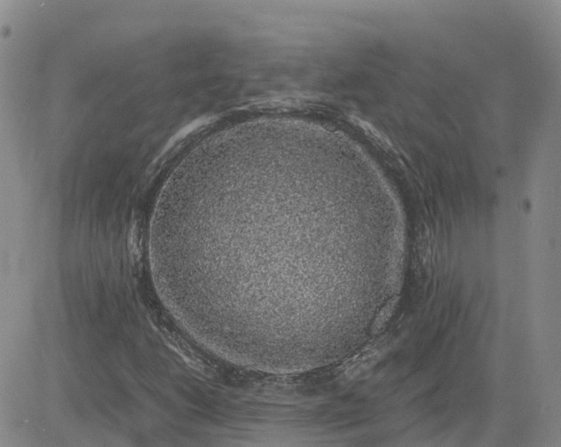 X0000083581206200702231646