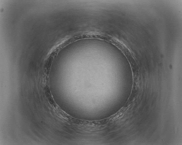 X0000083581207200702231646