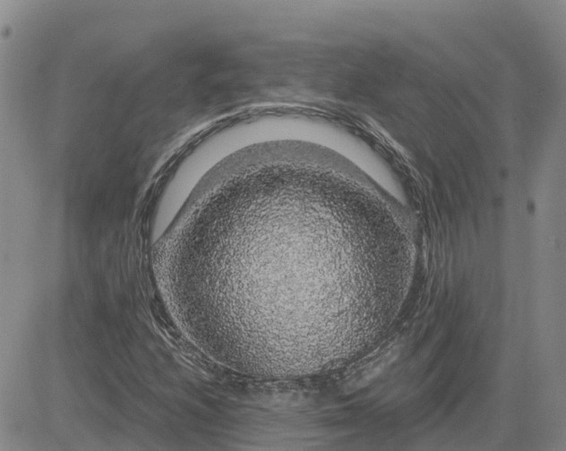 X0000083581208200702231646