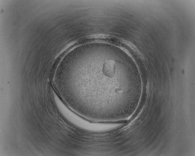 X0000083581209200702231646