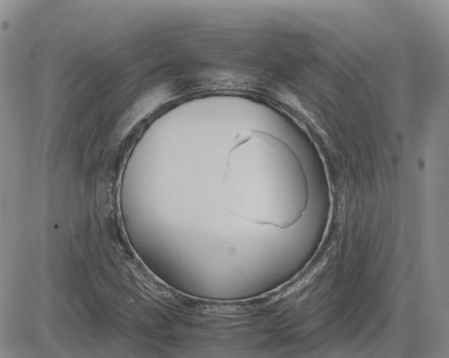 X0000083581211200702231646