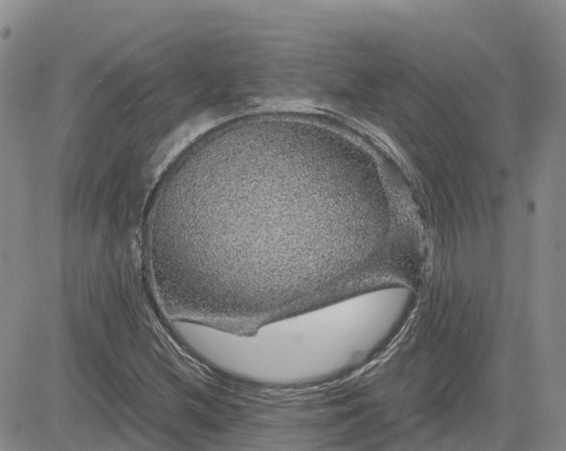 X0000083581212200702231646