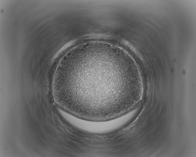 X0000083581213200702231646