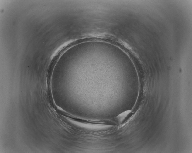 X0000083581214200702231646