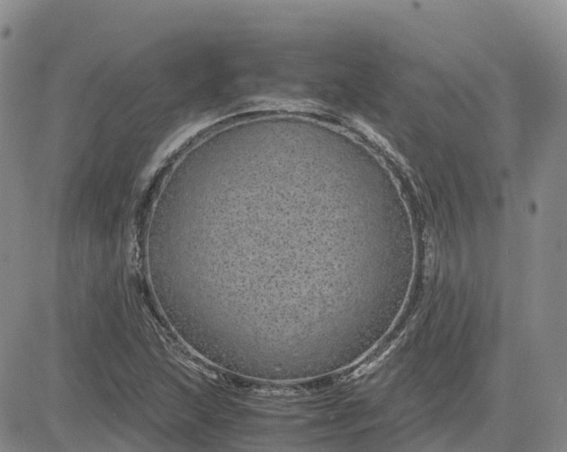 X0000083581215200702231646