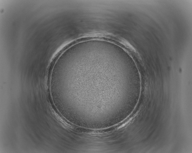 X0000083581216200702231647